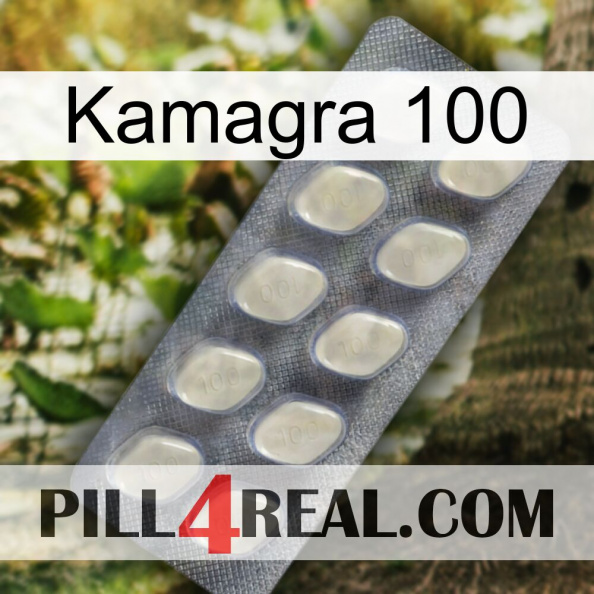 Kamagra 100 08